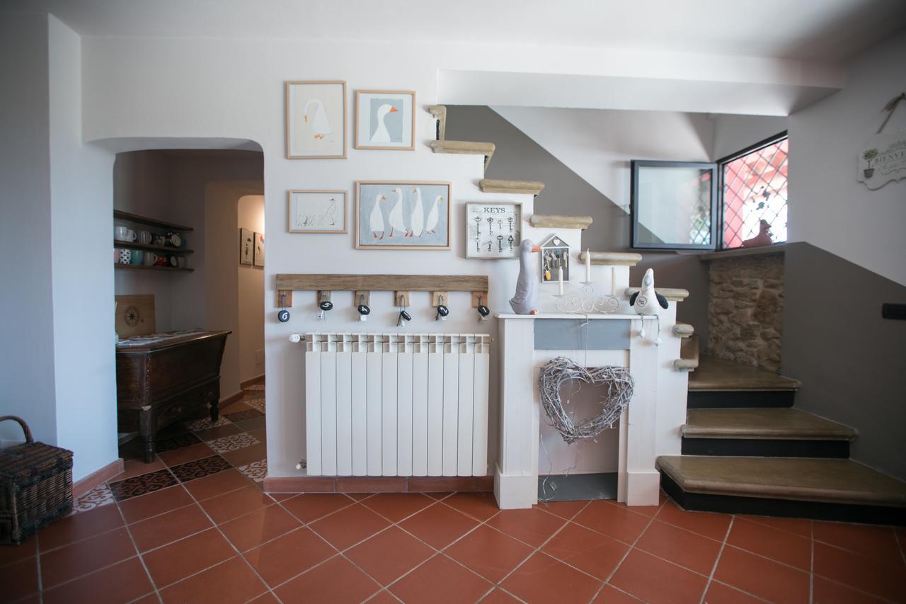 B&B Ocagiuliva Riparbella Eksteriør bilde